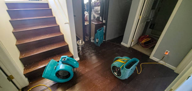 Best Sewage cleanup and water damage restoration  in Middleton, WI