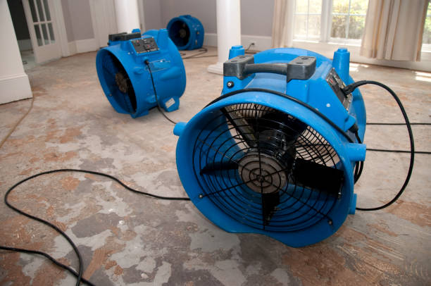 Best Carpet water damage restoration  in Middleton, WI